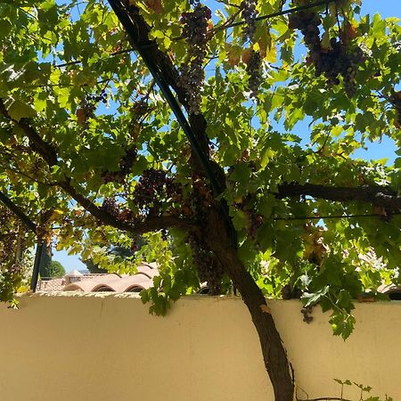 Evasion En Provence Bas De Villa Avec Jardin & Vignes, Soleil & Fraicheur Les Pennes-Mirabeau Exterior foto